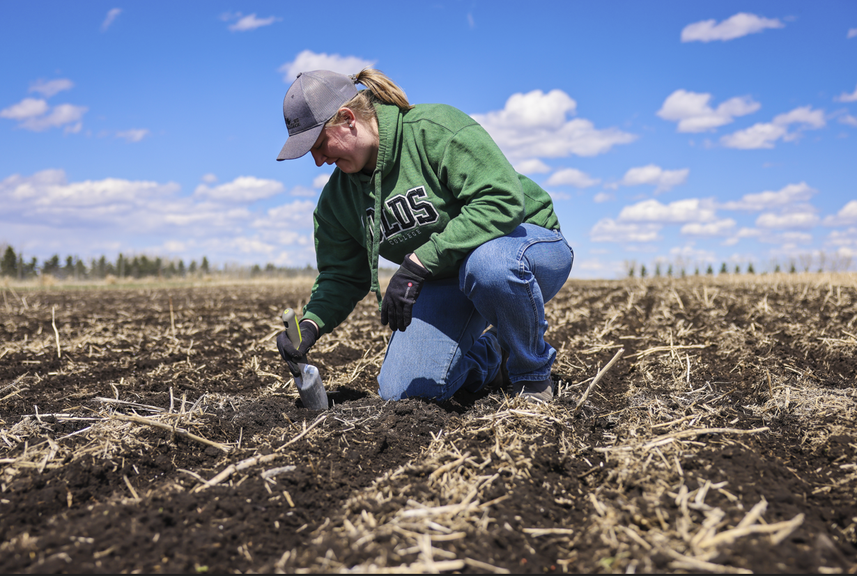 Risk Planning for the Crop Season