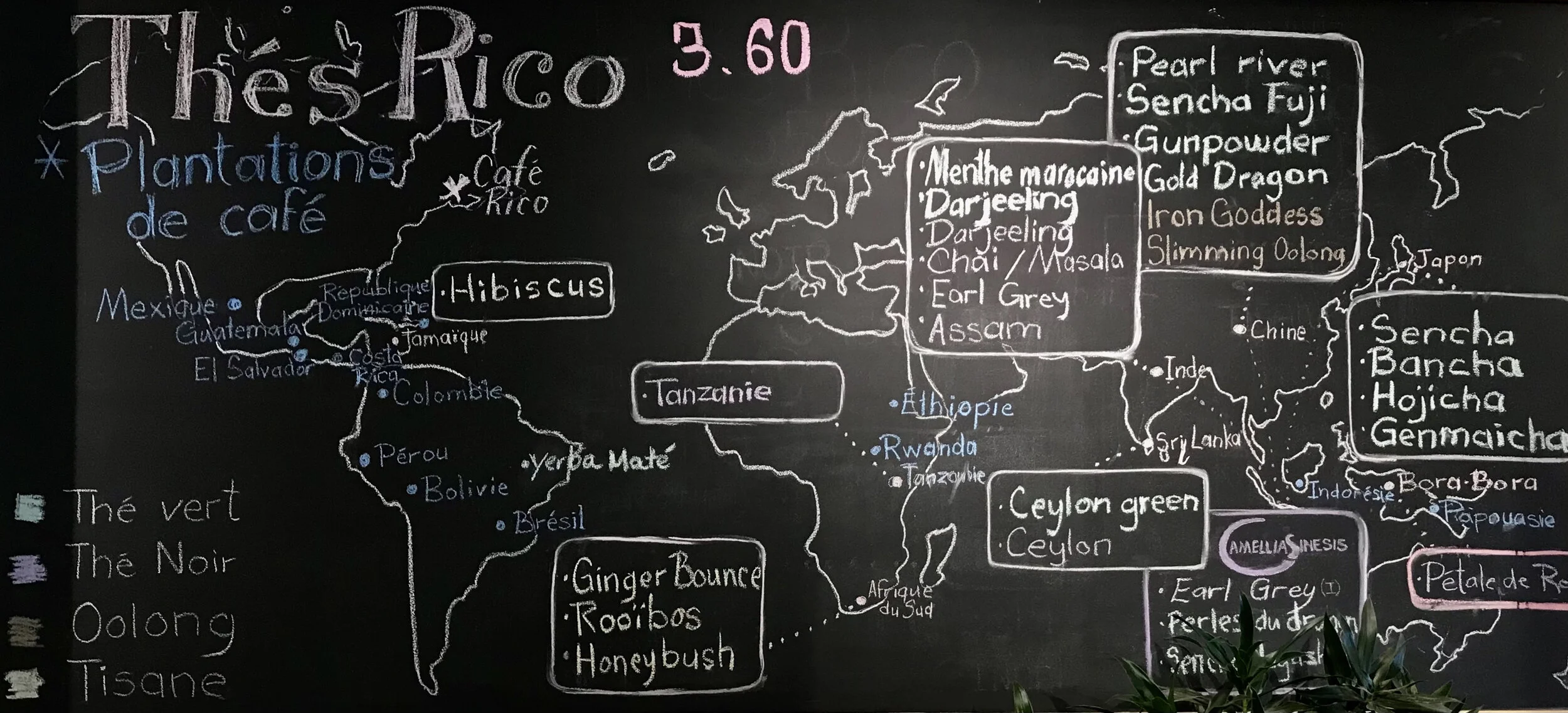 Un tableau noir avec une carte du monde et différentes zones géographiques mentionnées, principalement en Asie, avec des notes sur le thé, notamment en Éthiopie, Vietnam, Inde, Chine, Japon, Sri Lanka, et des listes de variétés de thé telles que le t