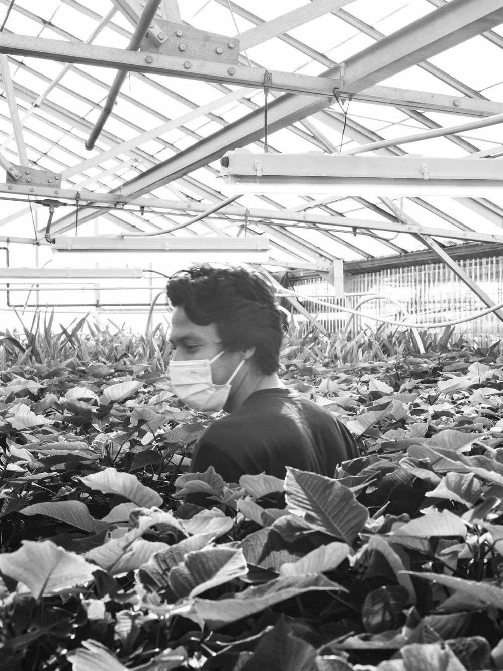 Katie_Loux_ccsf_horticulture.jpg