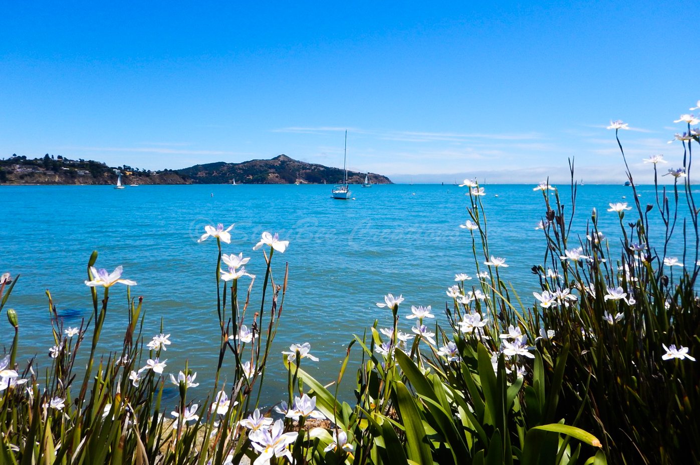 Sausalito, California
