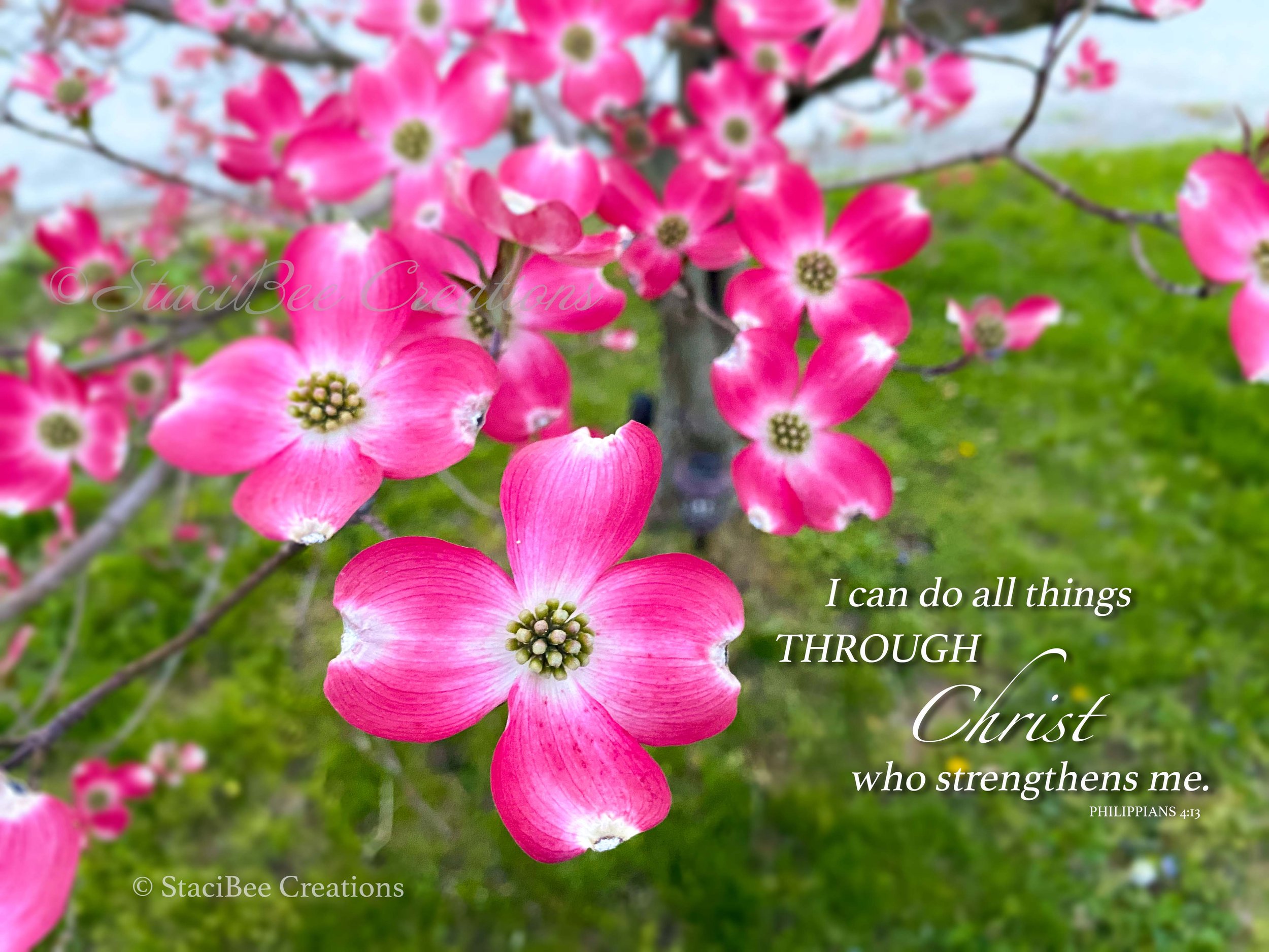 I can do all things through Christ who strengthens me. - Philippians 4:13