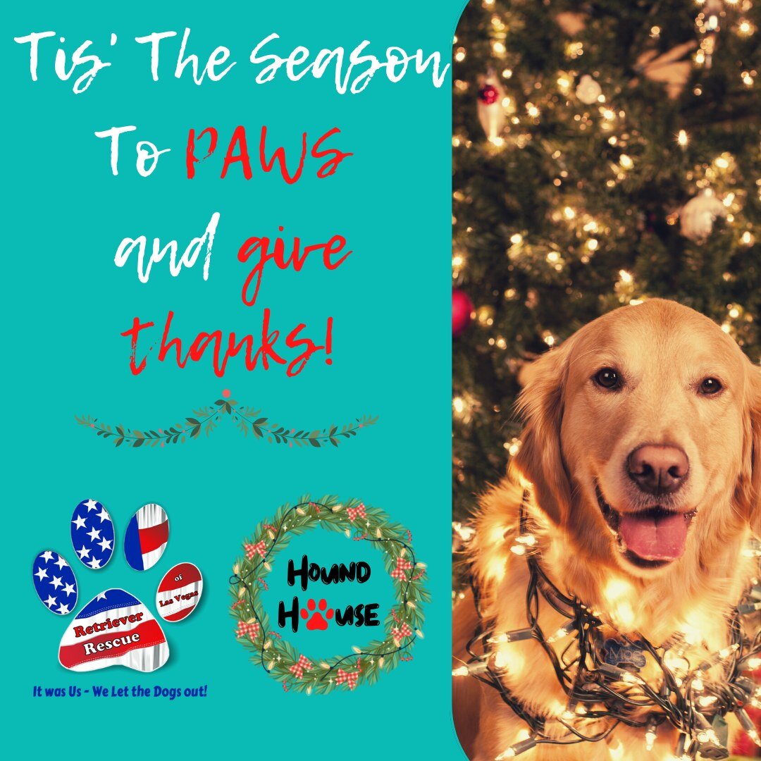 It's the pawliday season! What better way to give back to our community then supporting our local rescue @retrieverrescuelv! From now till December 31st we are hosting a donation drive! Follow the link in our bio (on IG) or by clicking this link houn
