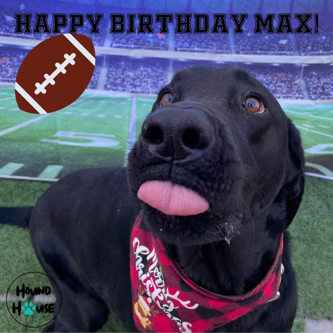 Happy Birthday Max! 🥳🏈🐾🏈🥳
All party pictures will be uploaded to our our Facebook.

 #HHLVFamily #VegasStrong #dogslife #dogsofinstagram #dogoftheday #bestoflasvegas #doggiedaycare #vegas #dogsofinsta #dogdaycare #smallbusiness #houndhouselv #do