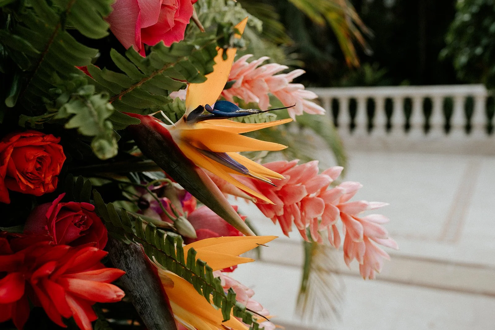 Destination-Wedding-in-Mexico-with-Villa-Planners-M-C-031.JPG