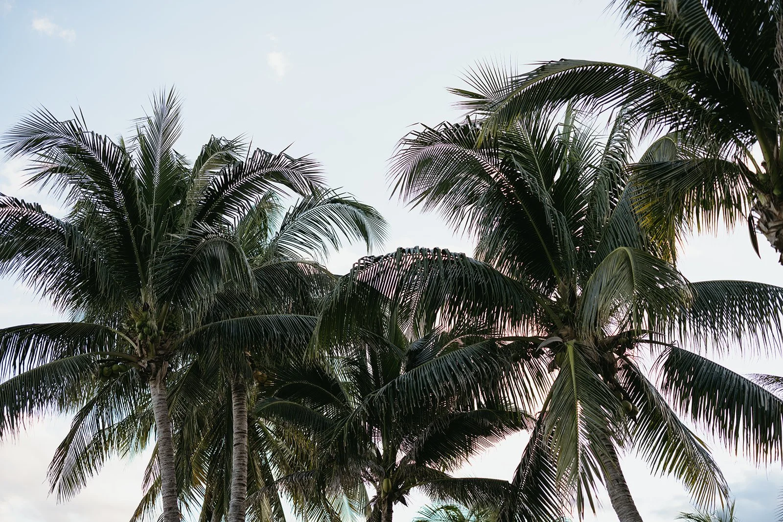 0X9A5659.jpg