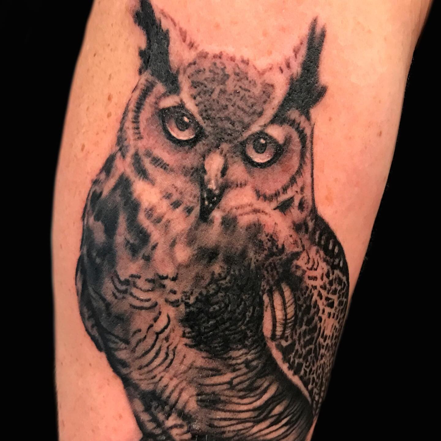 Fun owl tattoo... #tattoo #owl #michigan #detroit #liquidchaos #bigrenzo