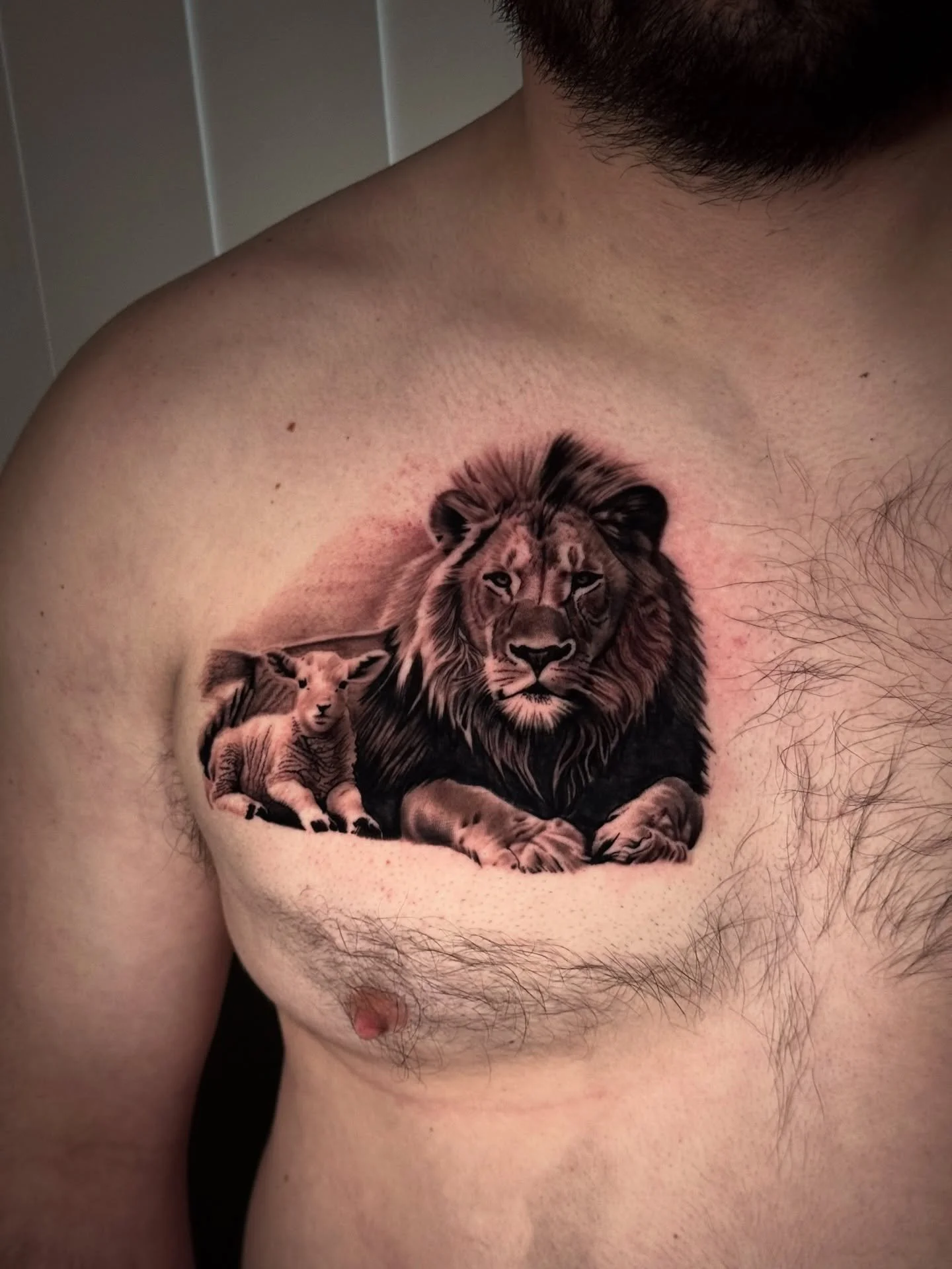 I really need to get better at posting. Here’s a cool lion and lamb I did on a good client of mine, hope you guys like it!
•
•
•
#tattoo #tattoos #ink #inked #art #michigantattooers @eternaltattoosupply @kwadron @bishoprotary @ch