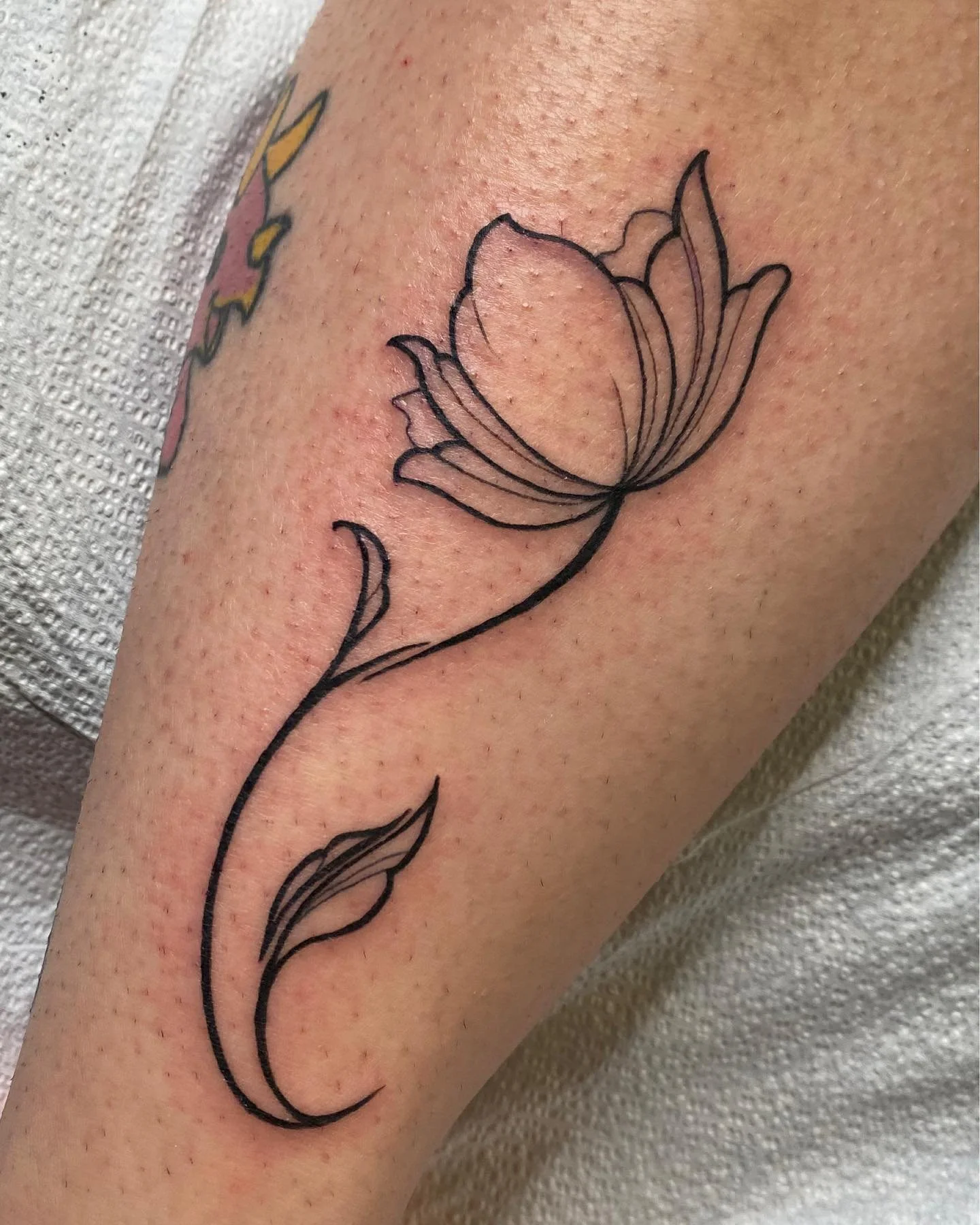 Knocked out some floral flash tattoos this week 🌸 Loving how they turned out! I still have some availability in June—DM to book your spot! ✨
 #FloralFlash #TattooArtist #tattooshop #tattooartist #tatt #tattoos #tattooed #floral