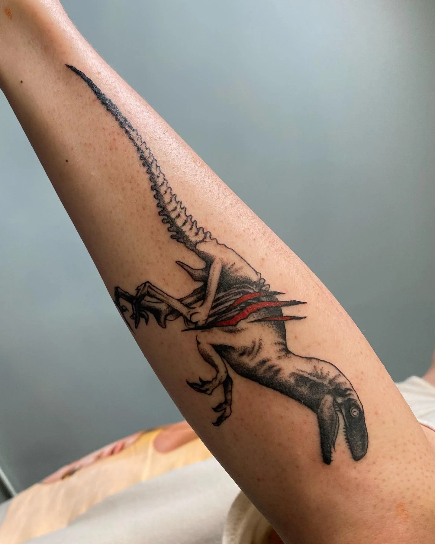 Hope everyone had a great Memorial Day weekend! I got to do a cool velociraptor tattoo this past Sunday on my cousin! Really happy with how it came out! 
AAAAND I will be updating my availability as well! Starting next week I’ll officially be