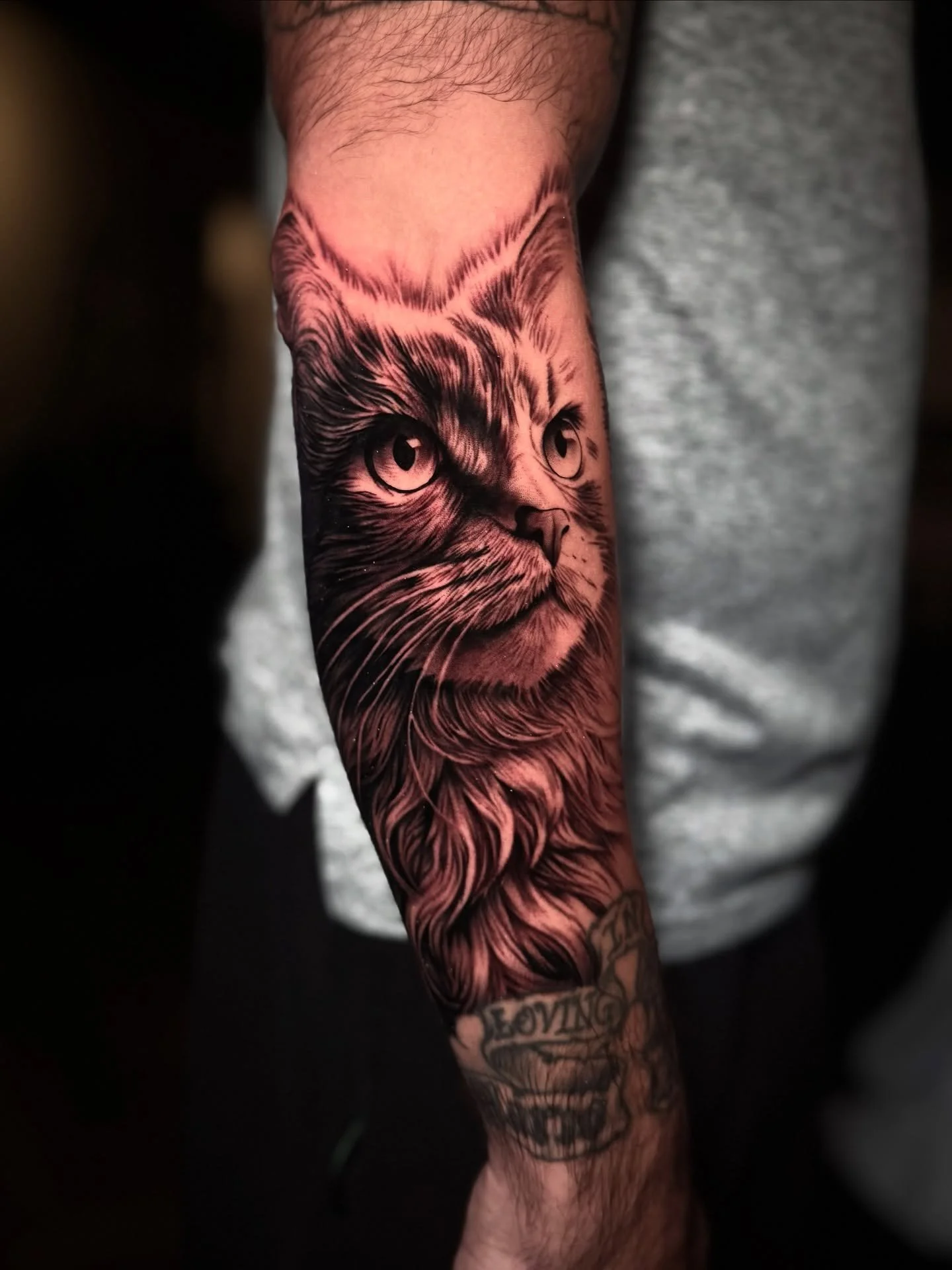 Super fun cat portrait my customer gave me creative freedom on. Took 9 hours, all done in 1 session. Thanks for checking it out! #tattoo #tattoos #ink #inked #art #blackandgreytattoo #cattattoo #portraittattoo @cheyenne_tattooequipment @kwadron @bish