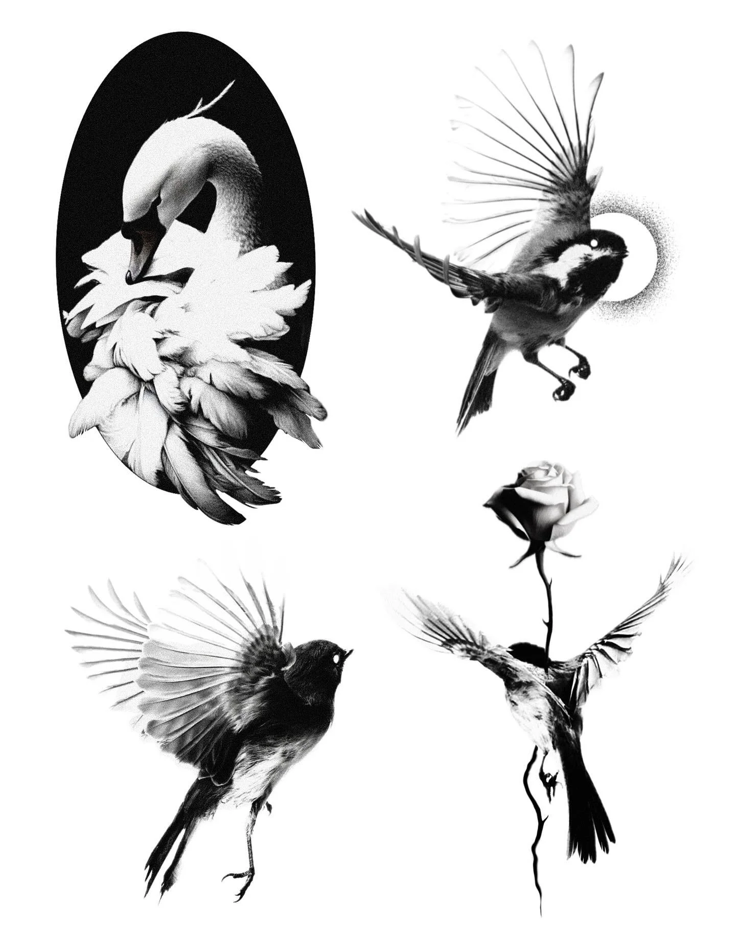 Dropping some new flash 🤩 would love to do these designs! DM or email me to book! (Email in bio) any other tattoo inquiries feel free to hmu! 
#tattoo #tattoos #flash #bird #flashtattoos #booking #september #ink