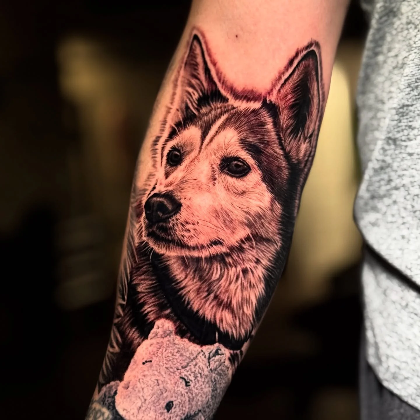 10 hours in the chair so my client can have a lifetime with their best friend! 🐶
Now booking December appointments - DM me or fill out inquiry link to book!
&bull;
&bull;
&bull;
#tattoo #tattoos #ink #inked #art #michigantattooers #blackandgreytatto