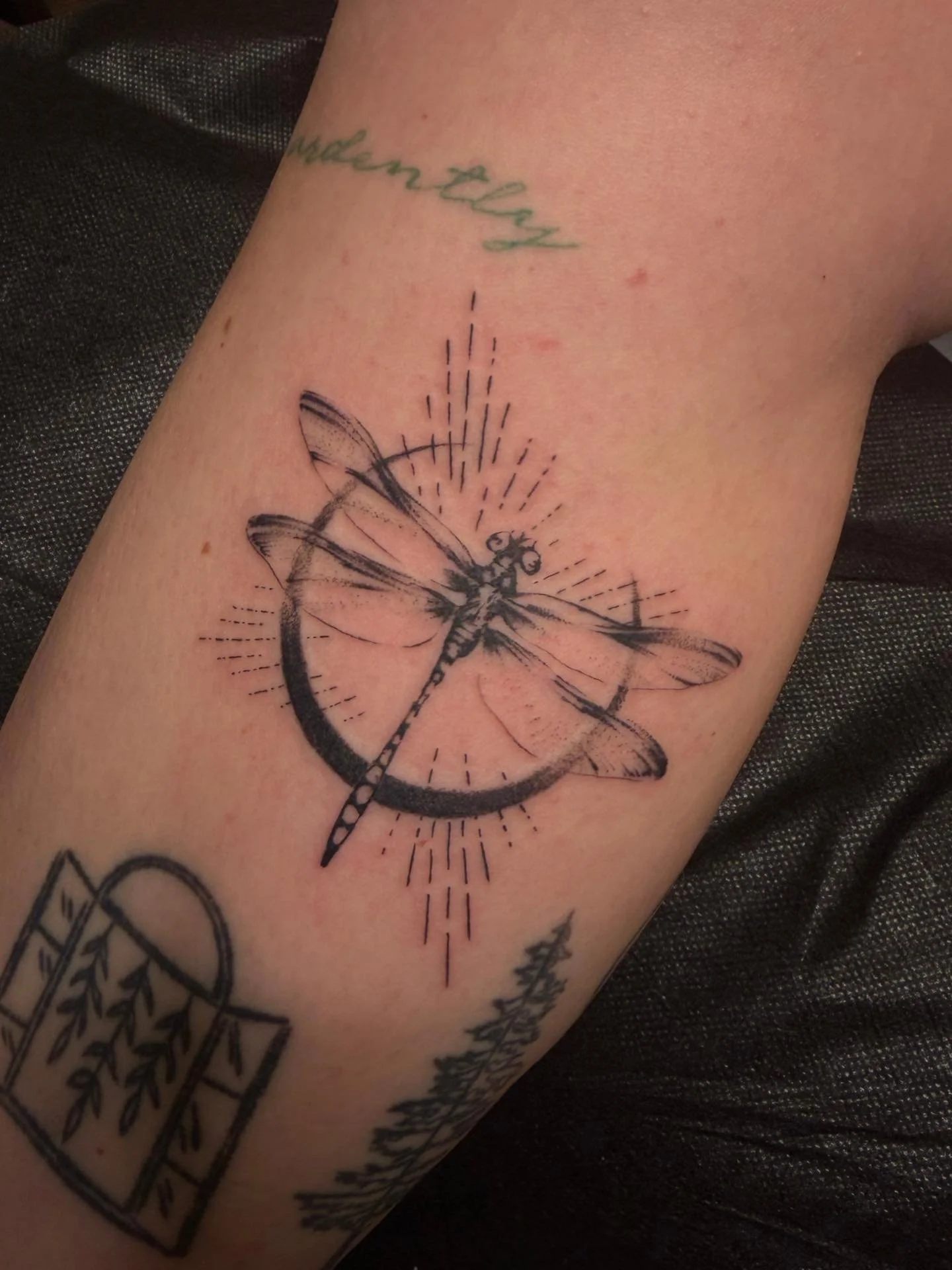 &bull; @im_sephi &bull;
We have availability for walk-in tattoos and piercings until 5:30pm!
Shop Info / Appointments
734-479-2420 &bull; liquidchaostattoos.com
&mdash; &mdash;

#tattoostudio #tattoo #tattoos #tattooartist #ink tattooart inked tattoo