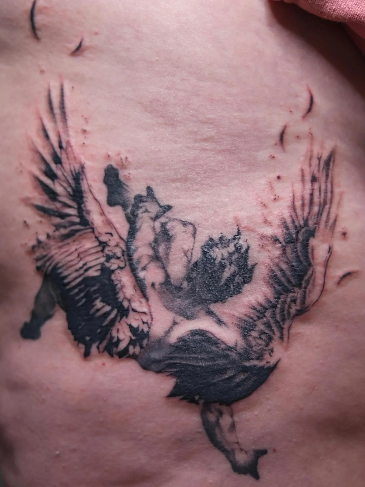 Got to finish this Icarus piece! Body is healed we added the wings! And here are some more recent pieces! 🤩 ✍️ booking for March! Send me a dm or shoot me an email (in bio) with your design ideas!! 

#tattoo #tattooshop #tattooartists #inked #art