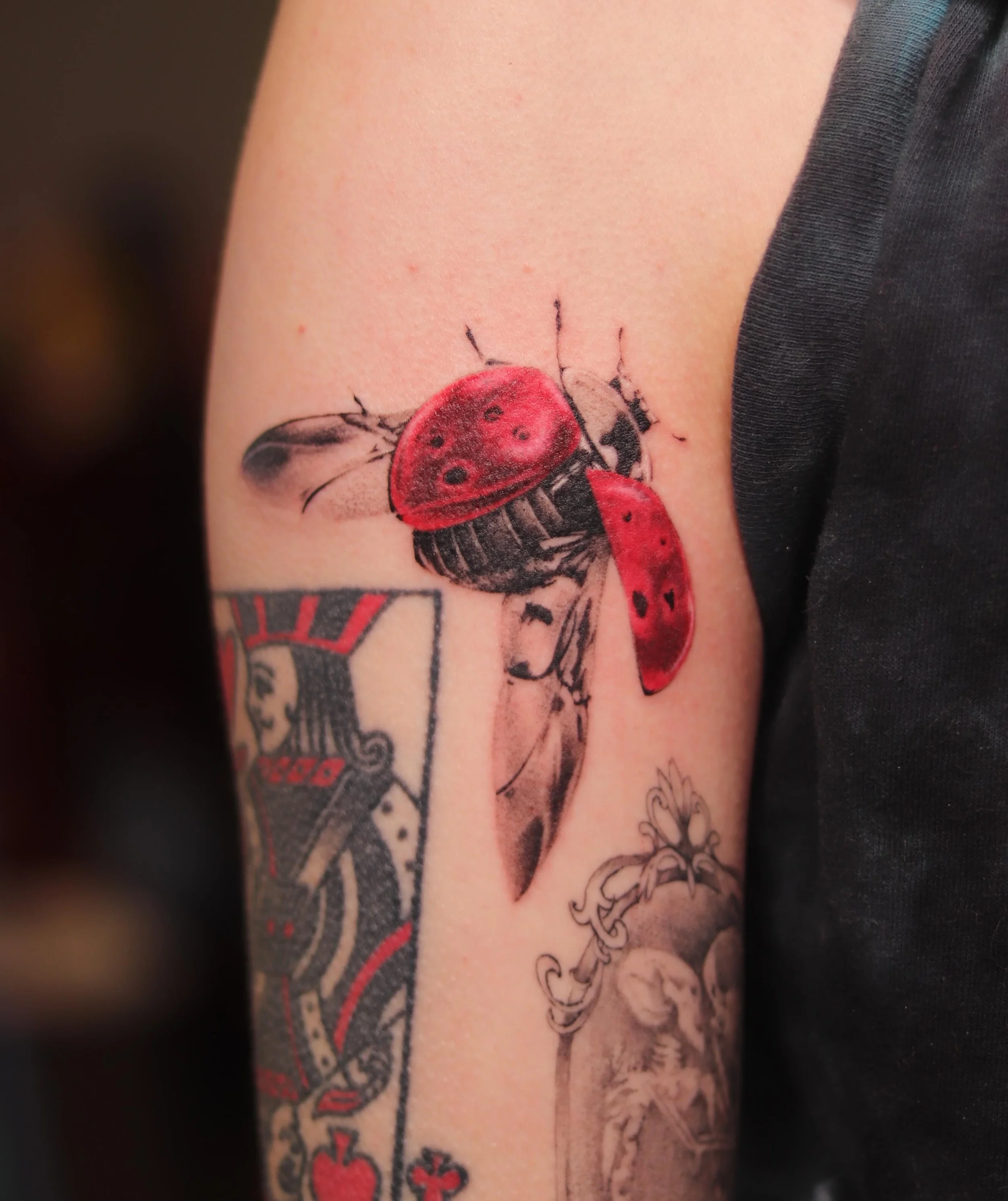 Lovebug for Kendall! 🐞 🔴Super happy with how it came out! Would love to do more like this! I have a few spots left for June and am booking July and onward! Shoot me a dm or email me (in bio) 

#tattooartist #ladybug #tattoo #tattooartist #michigan