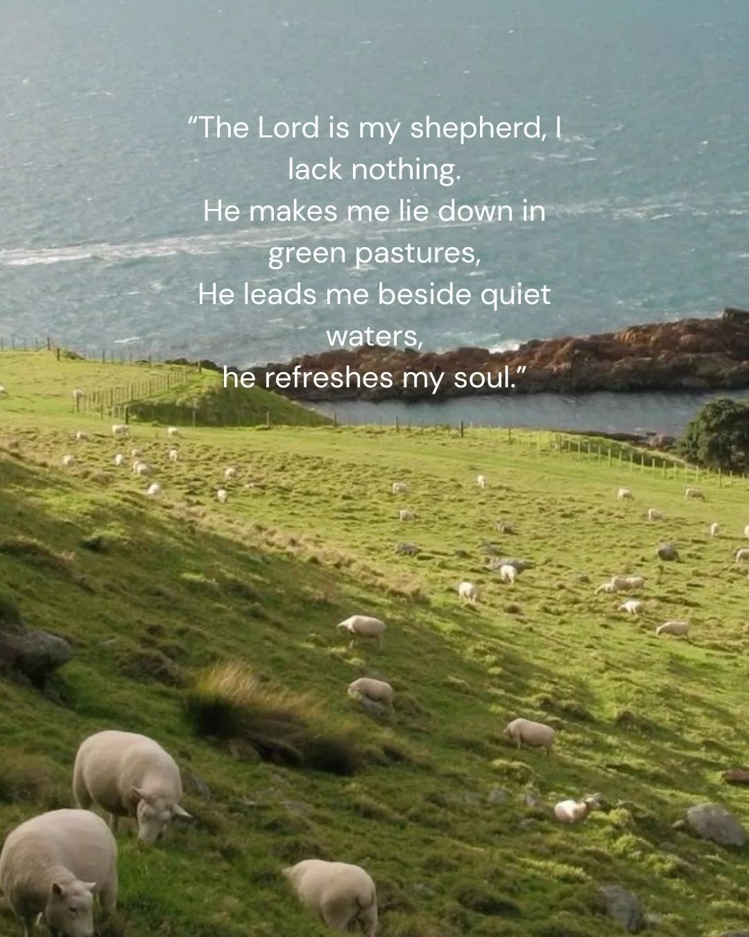 He is our Shepherd. 🤍 He leads, He restores, He provides.
The invitation has already been given &mdash; He wants to shepherd us.

Our part is simply to let Him. 🌿

#RiverLifeWilmington #thelordismyshepherd #psalms23