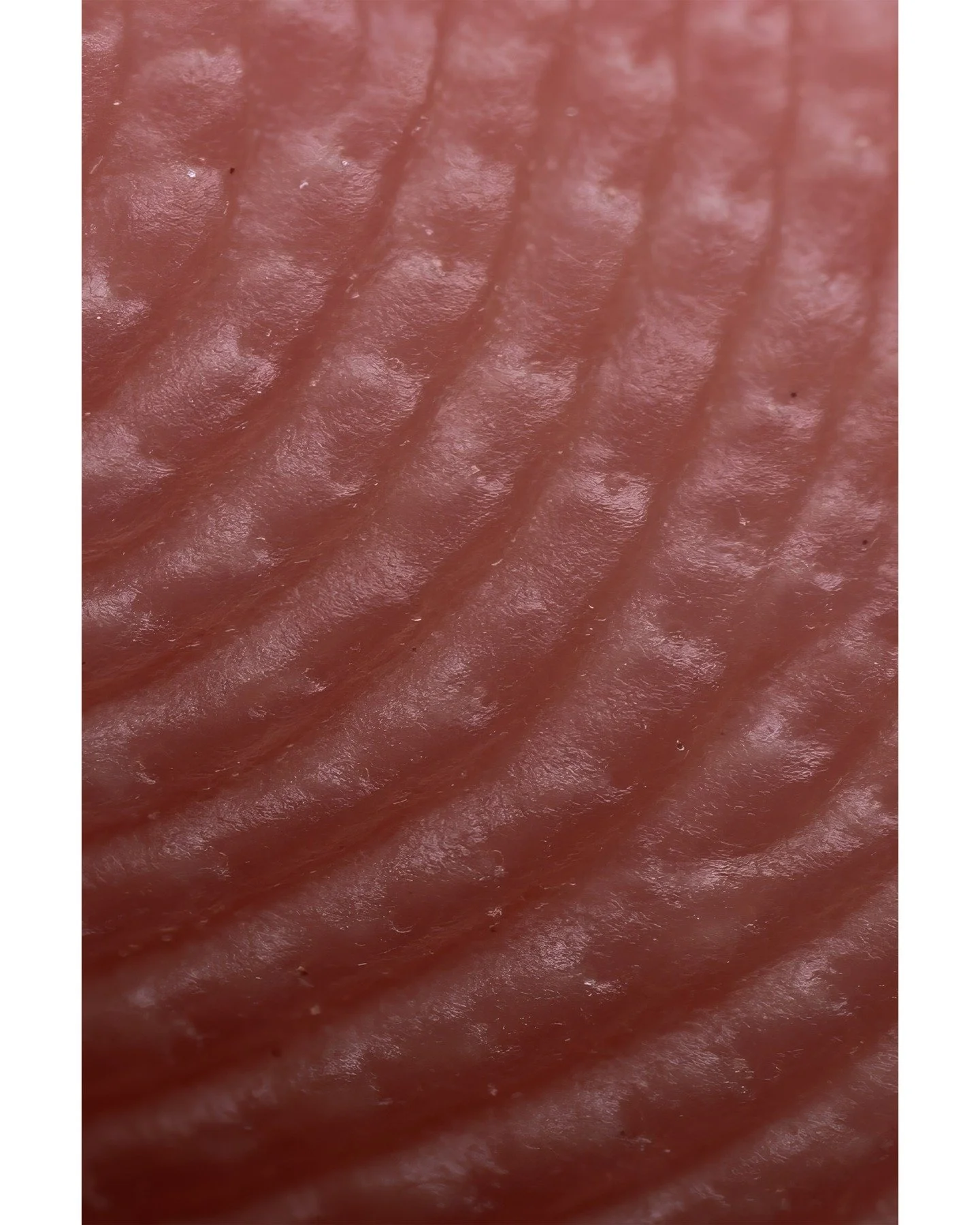 Pushed this lens and my editing pretty far to get this close. It might be fun to buy an extension tube and get in even closer.
-
#photooftheday #macro #macrophotography #fingerprint