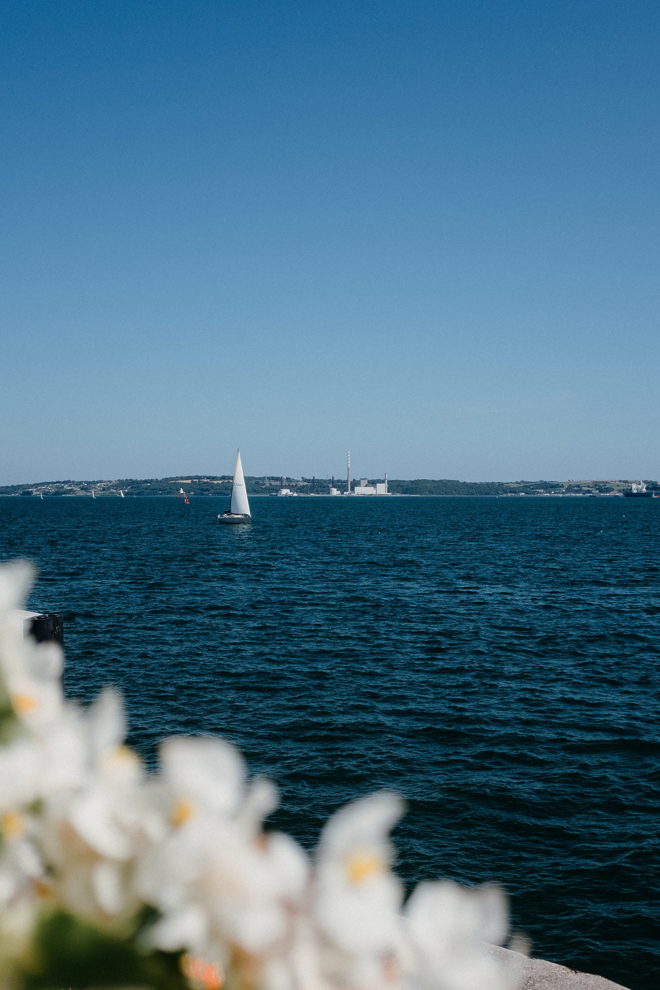DSCF3208-2.jpg