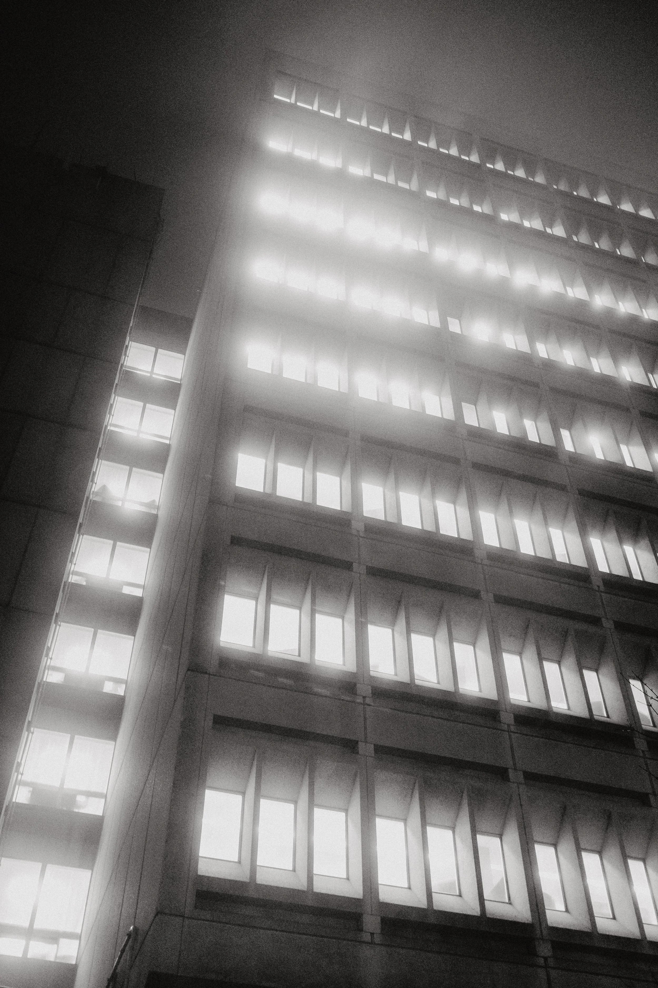 DSCF0358.jpg