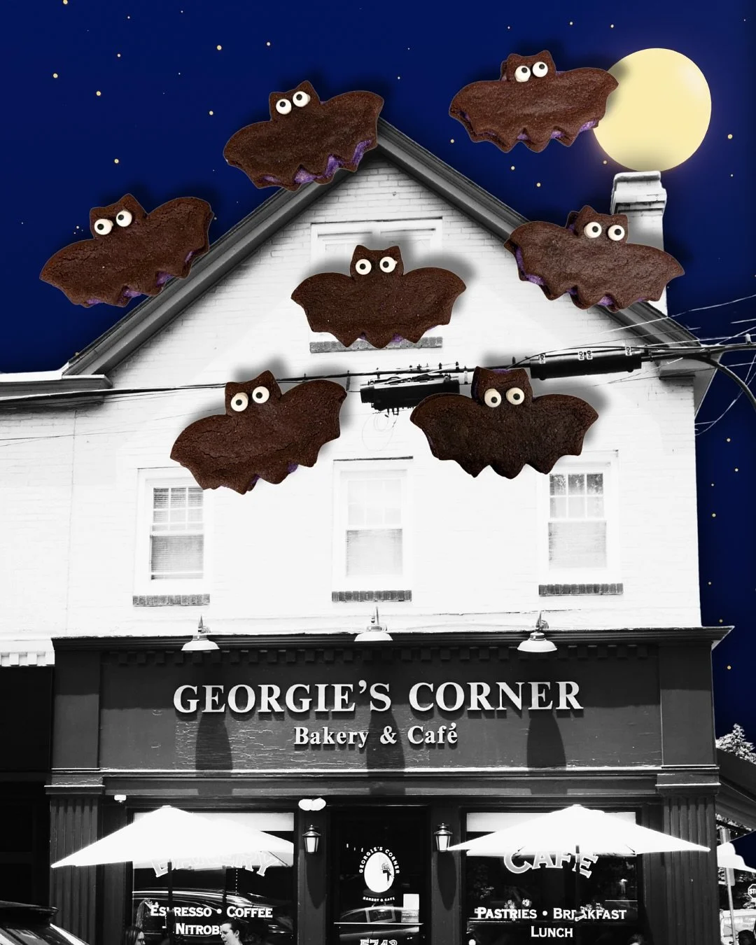 Legend has it that Georgio bats only appear in the dark skies above Georgie&rsquo;s on Halloween night! 👻 

Georgio Bat cookies will be available from Saturday October 25th until Friday October 31st! 

Georgios are chocolate sandwich cookies with or