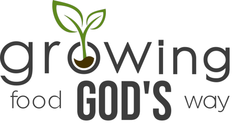 Logo-1-white-color-dark-web.png
