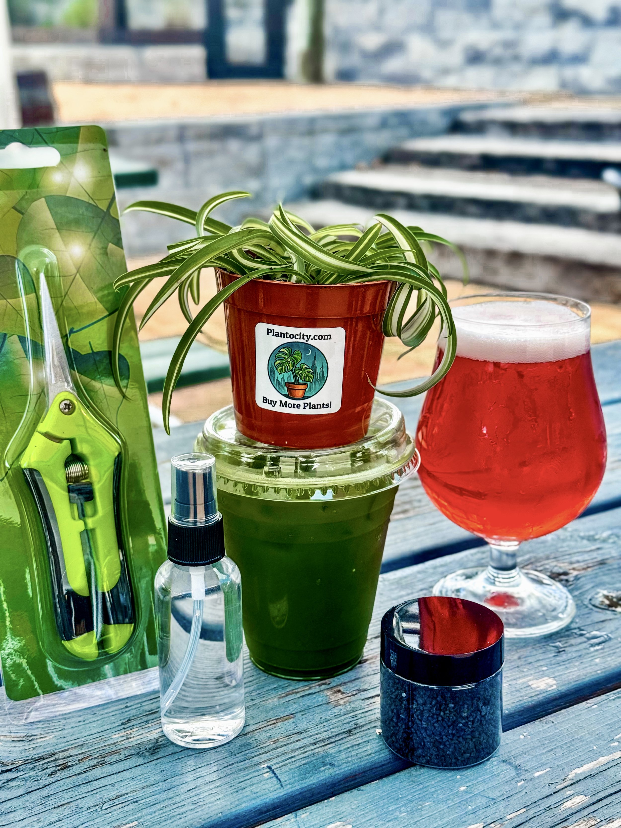 Plant Propagation Class
