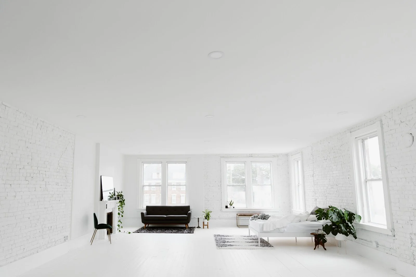 Locust & Vine - The Studio