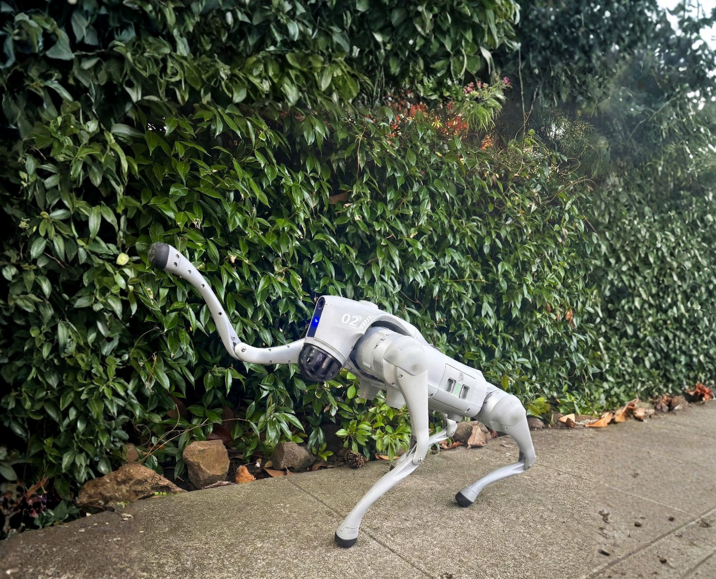 Venus   Pawfolio Manager