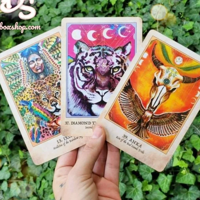 3 Card Spread | Tarot Reading