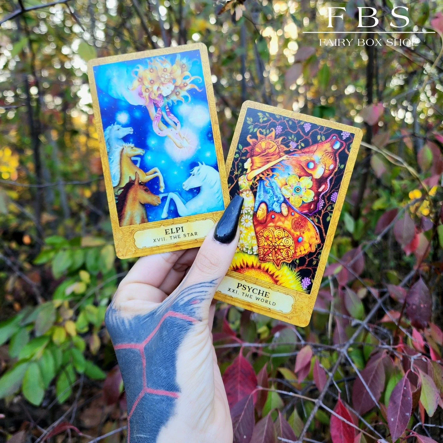 Money & Career | Tarot Reading