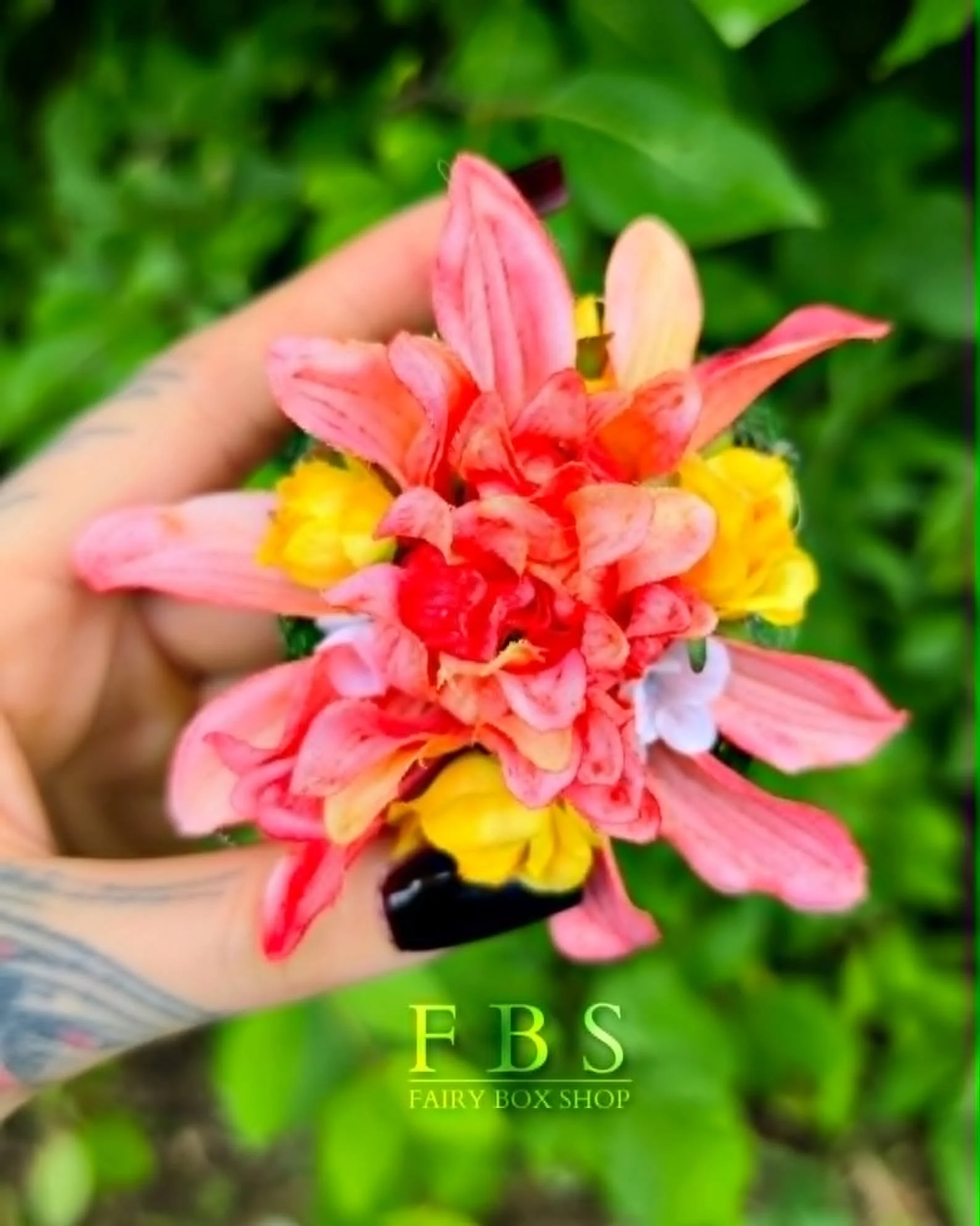 92817b8b-877a-4d1f-9fab-218beb75c09c.jpg