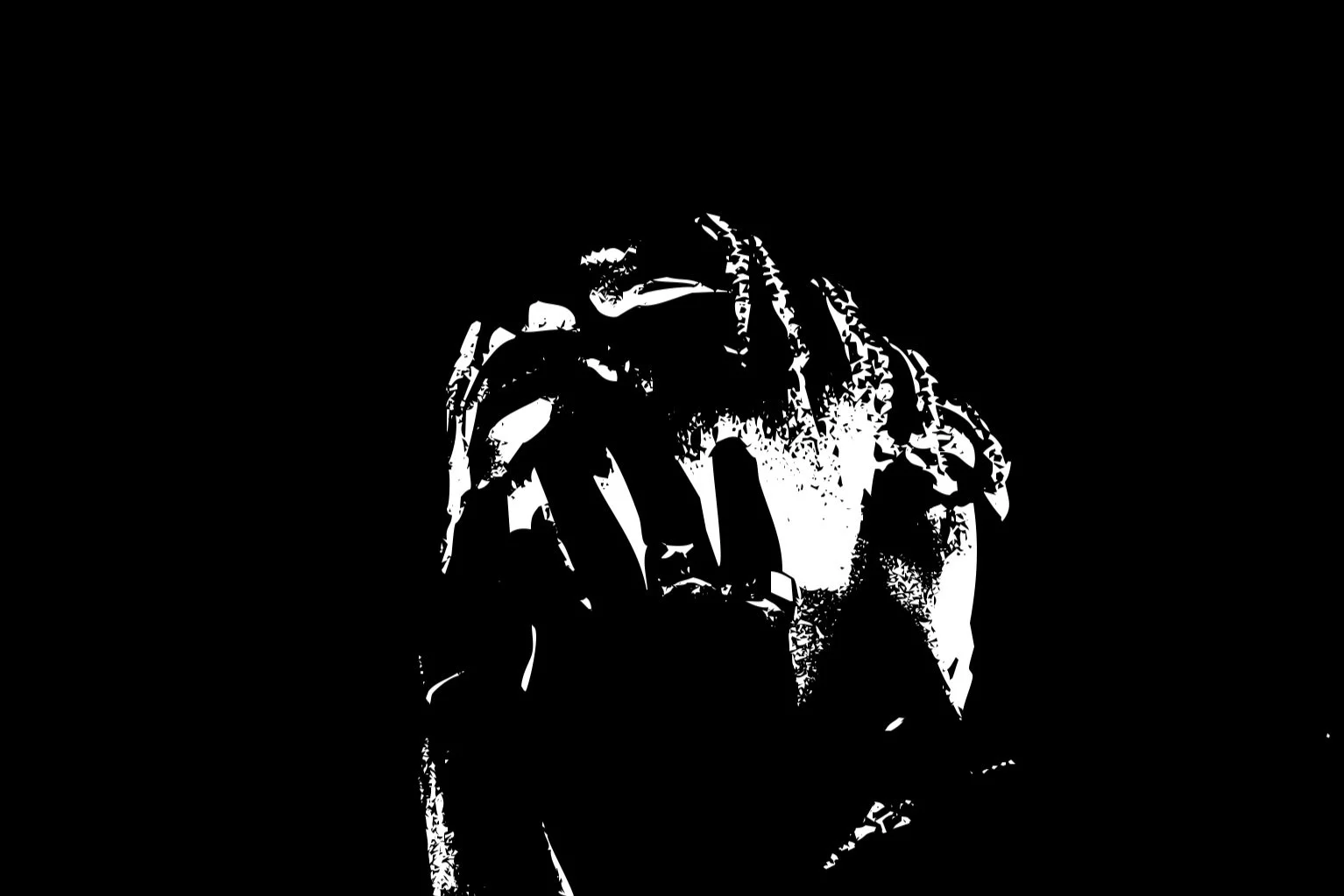 Infrared_Black_White.jpg