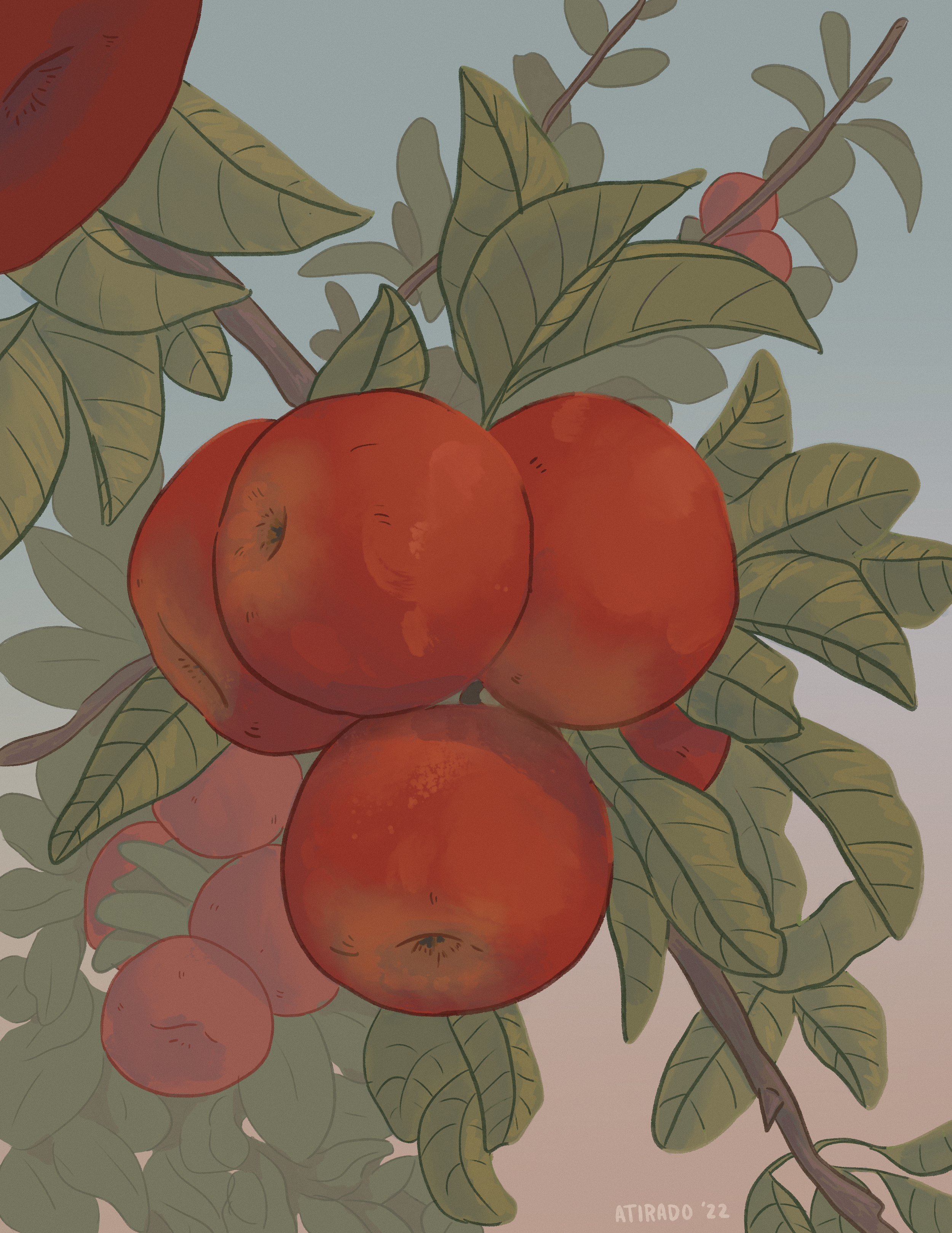 Fall_Apples.png