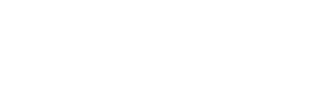 NEW ZEALAND SPORTS CAR RACING INC.