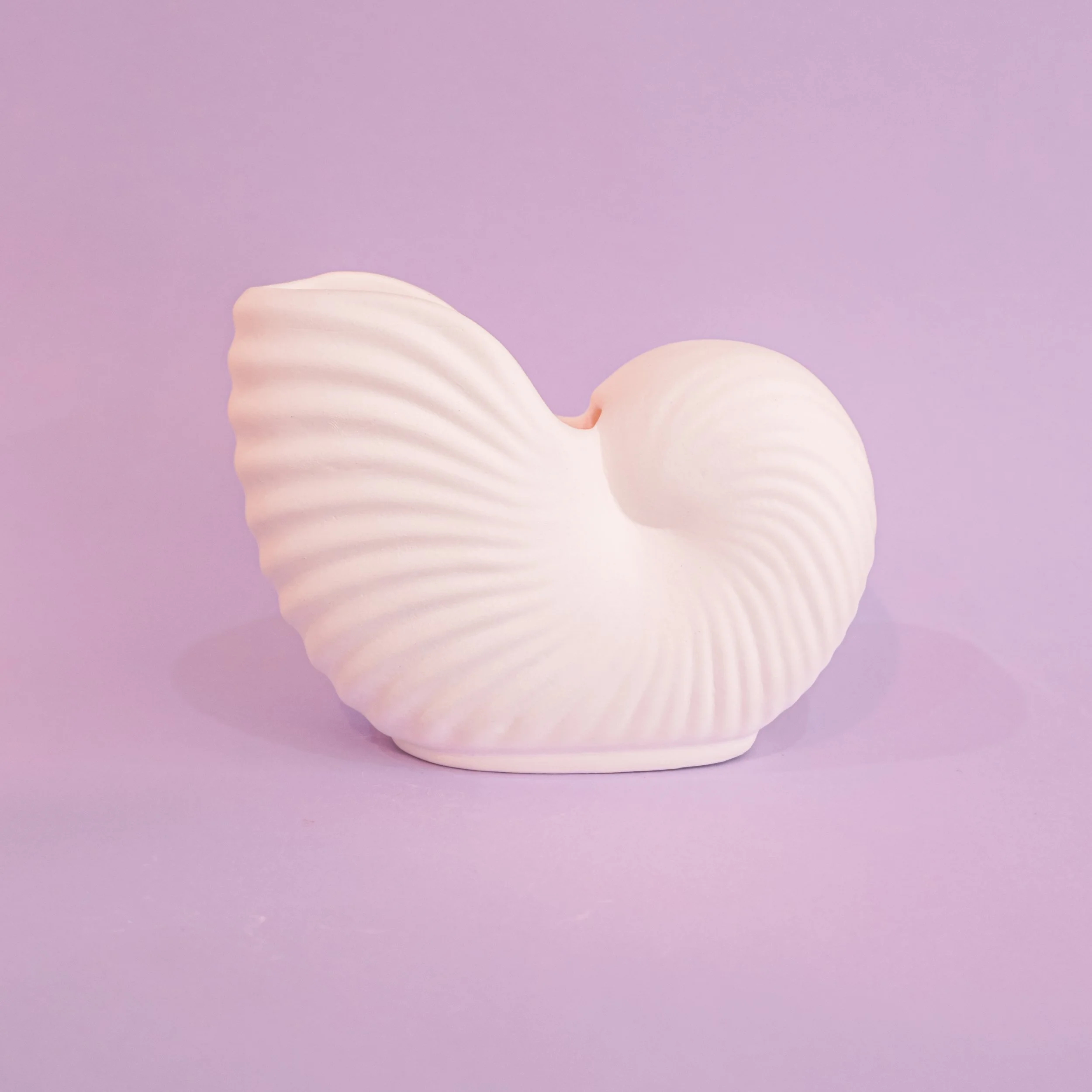 Shell Vase - $36