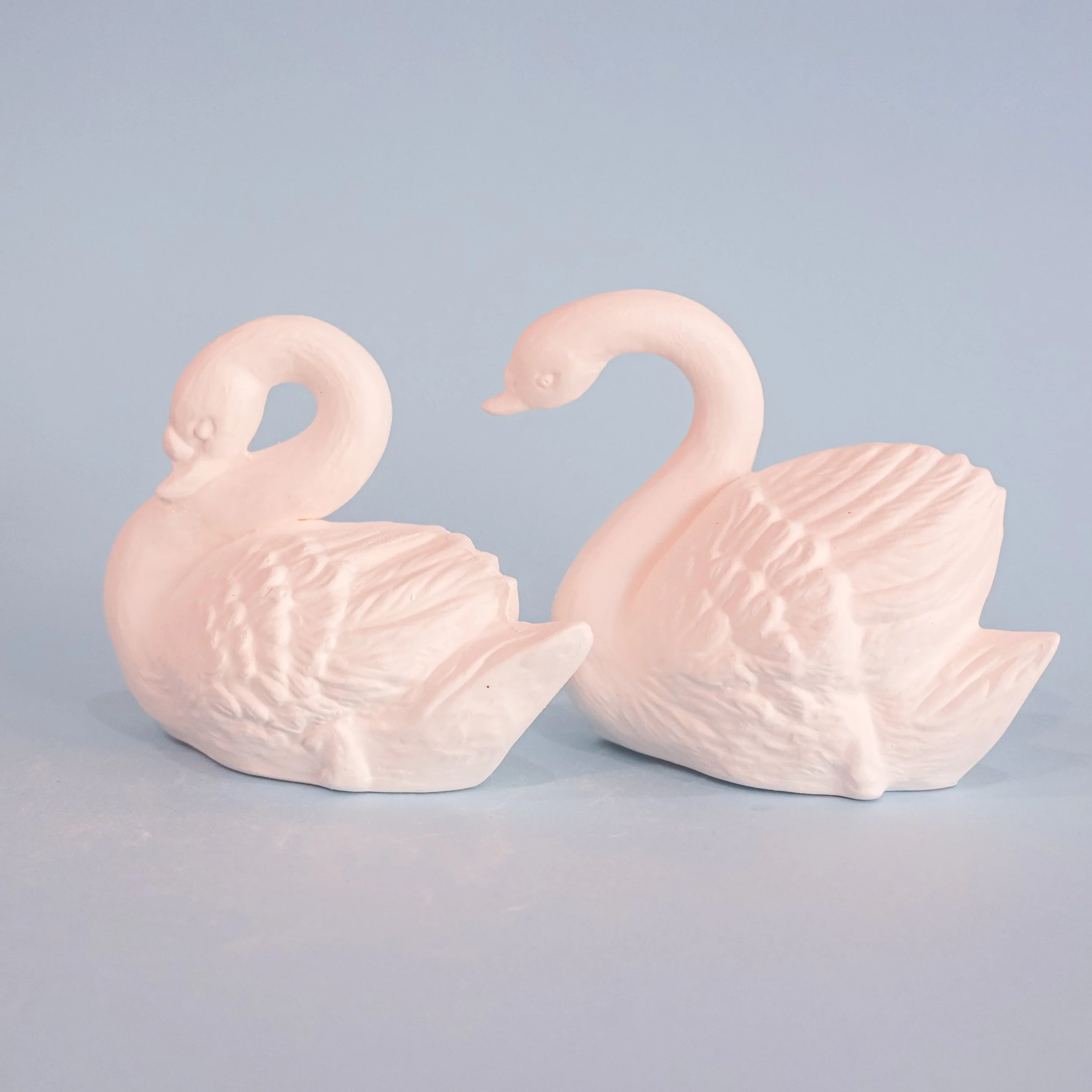 Swan $17