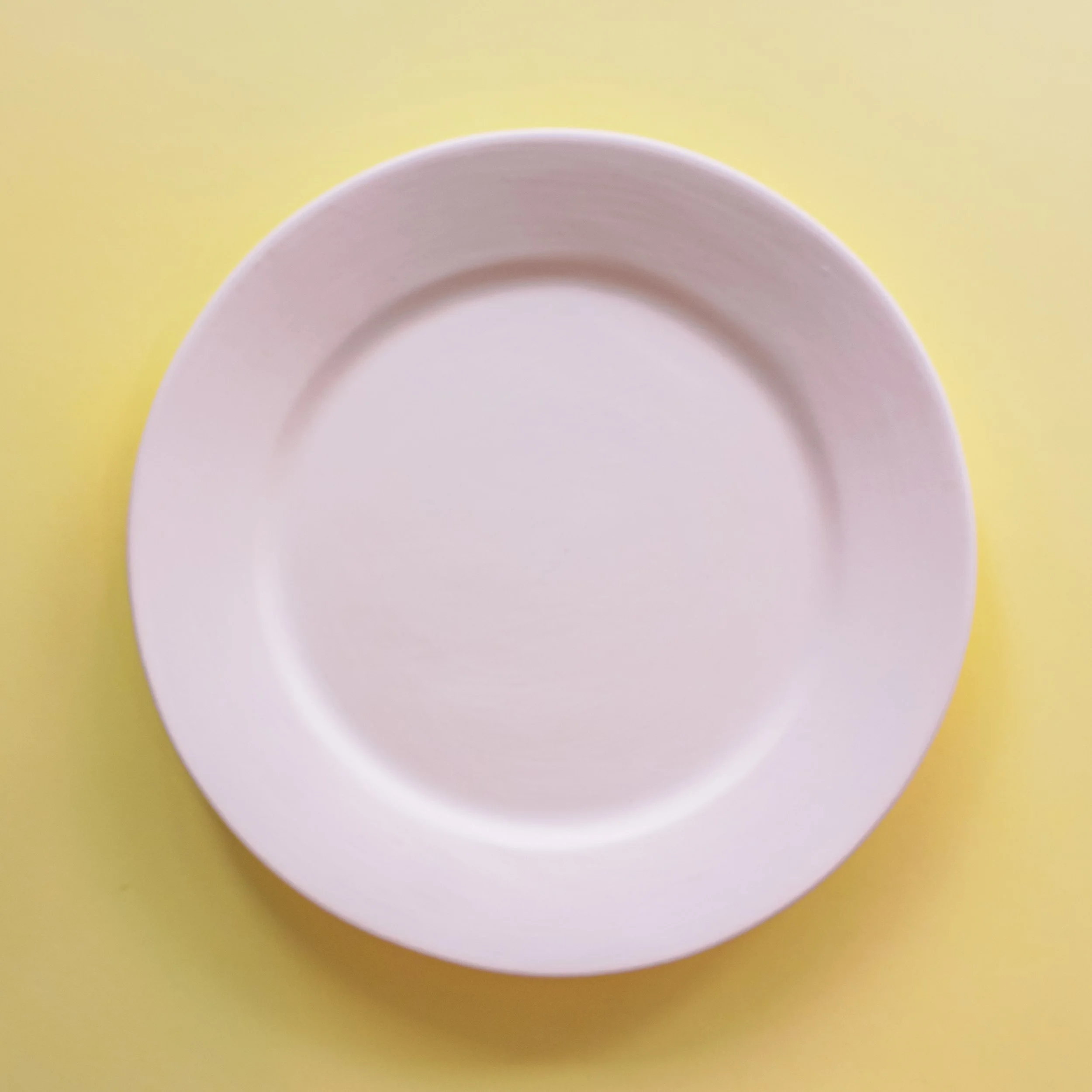 4. Dinnerware set - Entree Plate - $48 (25cm)