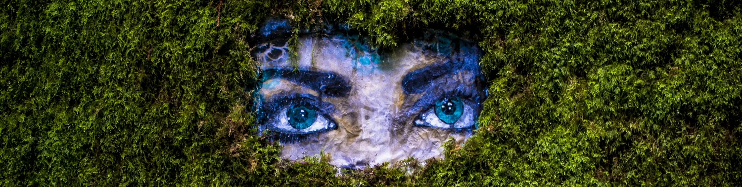 Mural of eyes painted across a weathered surface.