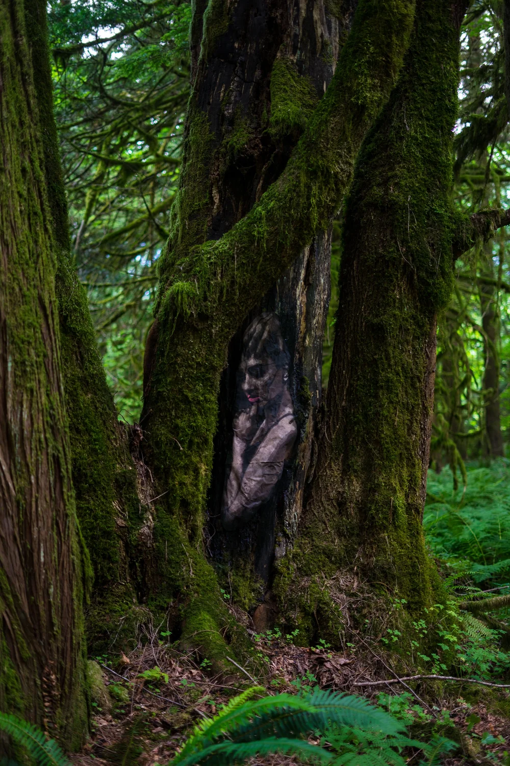 “Hopeful” — face-mounted artist proof.