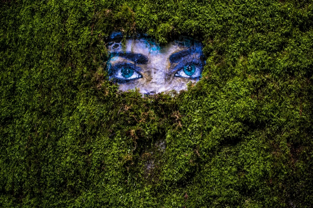 “Watchful” — painted eyes covered in moss.