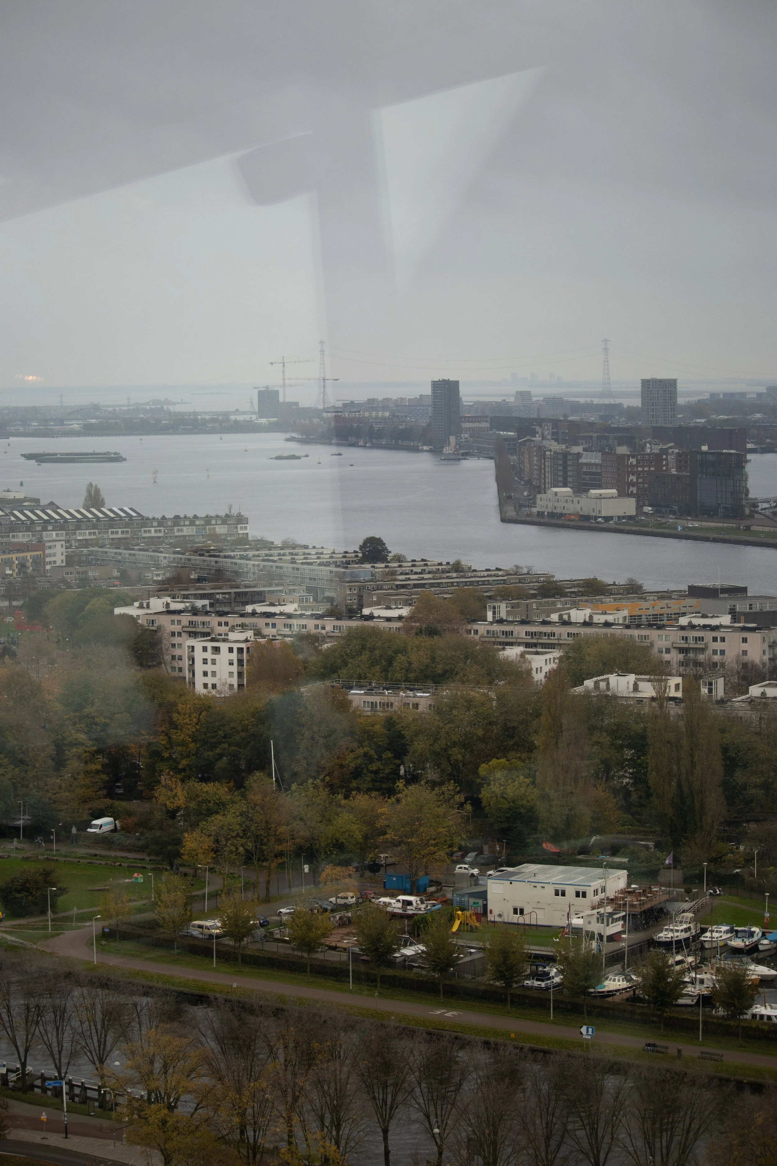 IMG_2174.jpg