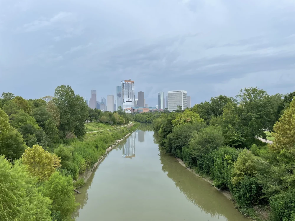 Buffalo Bayou, which honestly reminded me of Shrek's Swamp.
