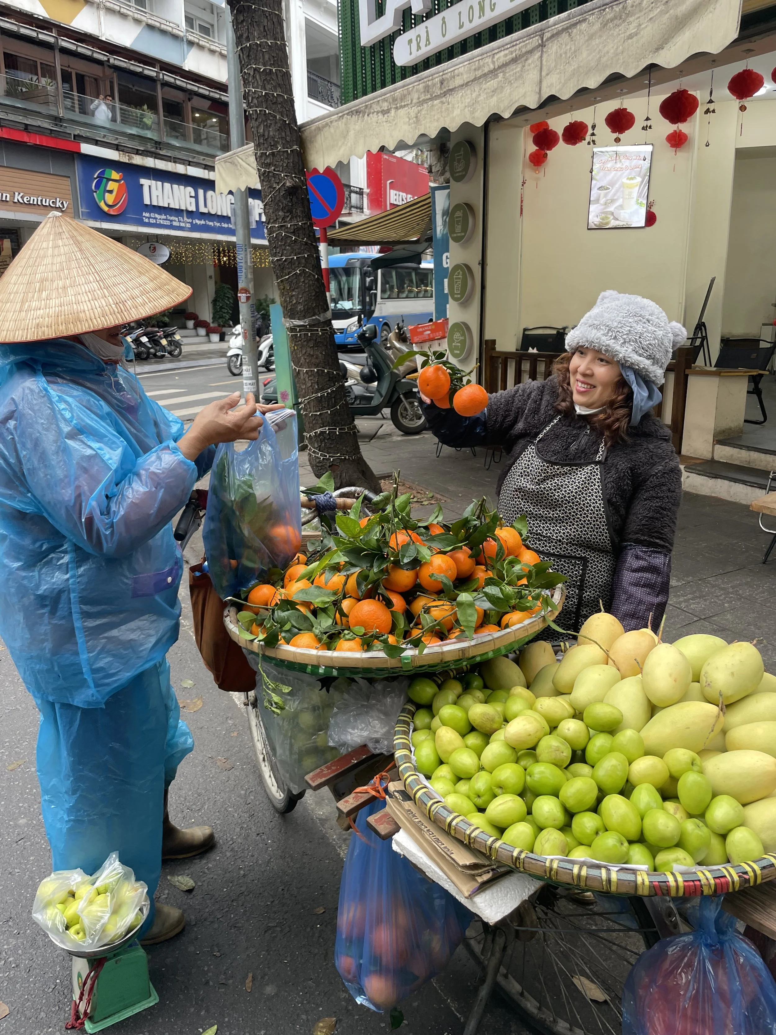 A Culinary and Cultural Tour through Vietnam with Every Element