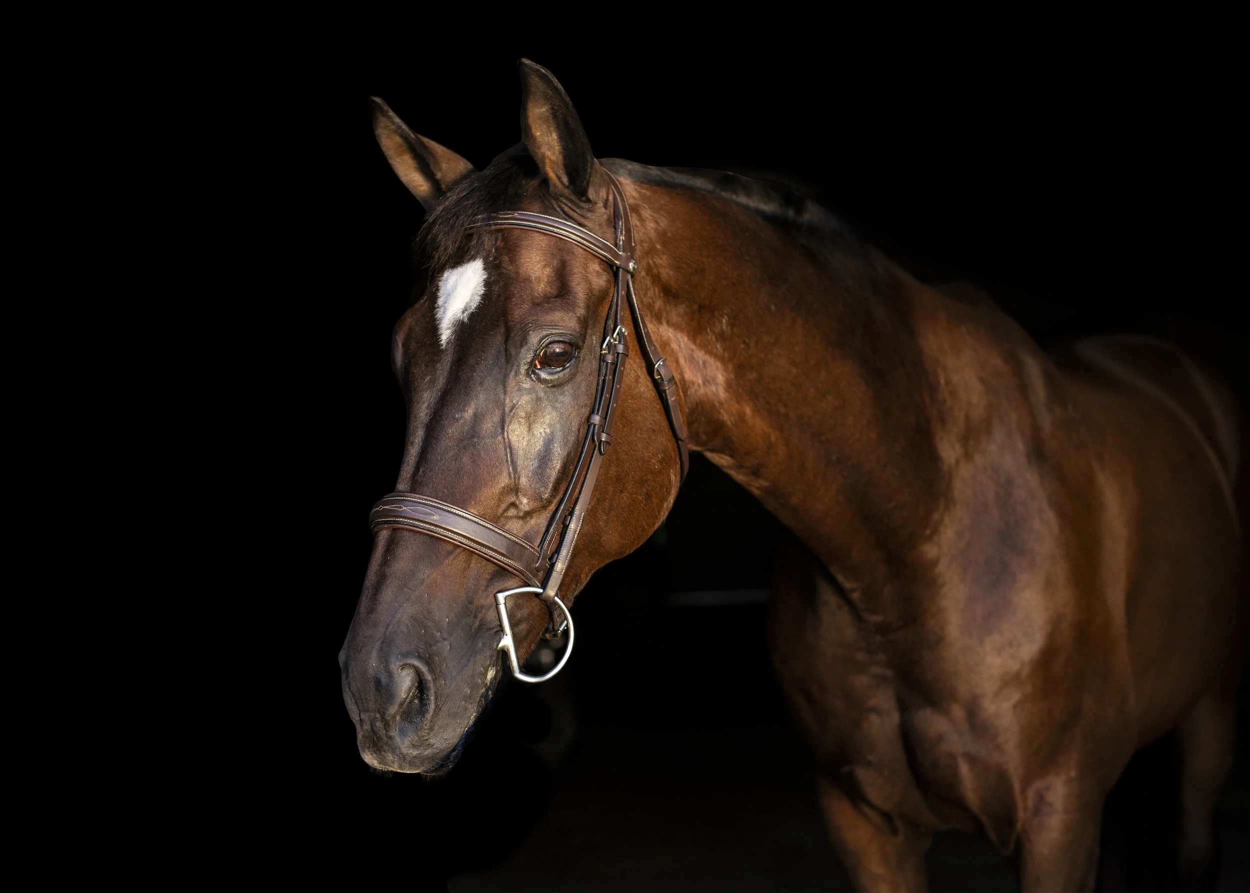 Blackout2 for Taylor.jpg