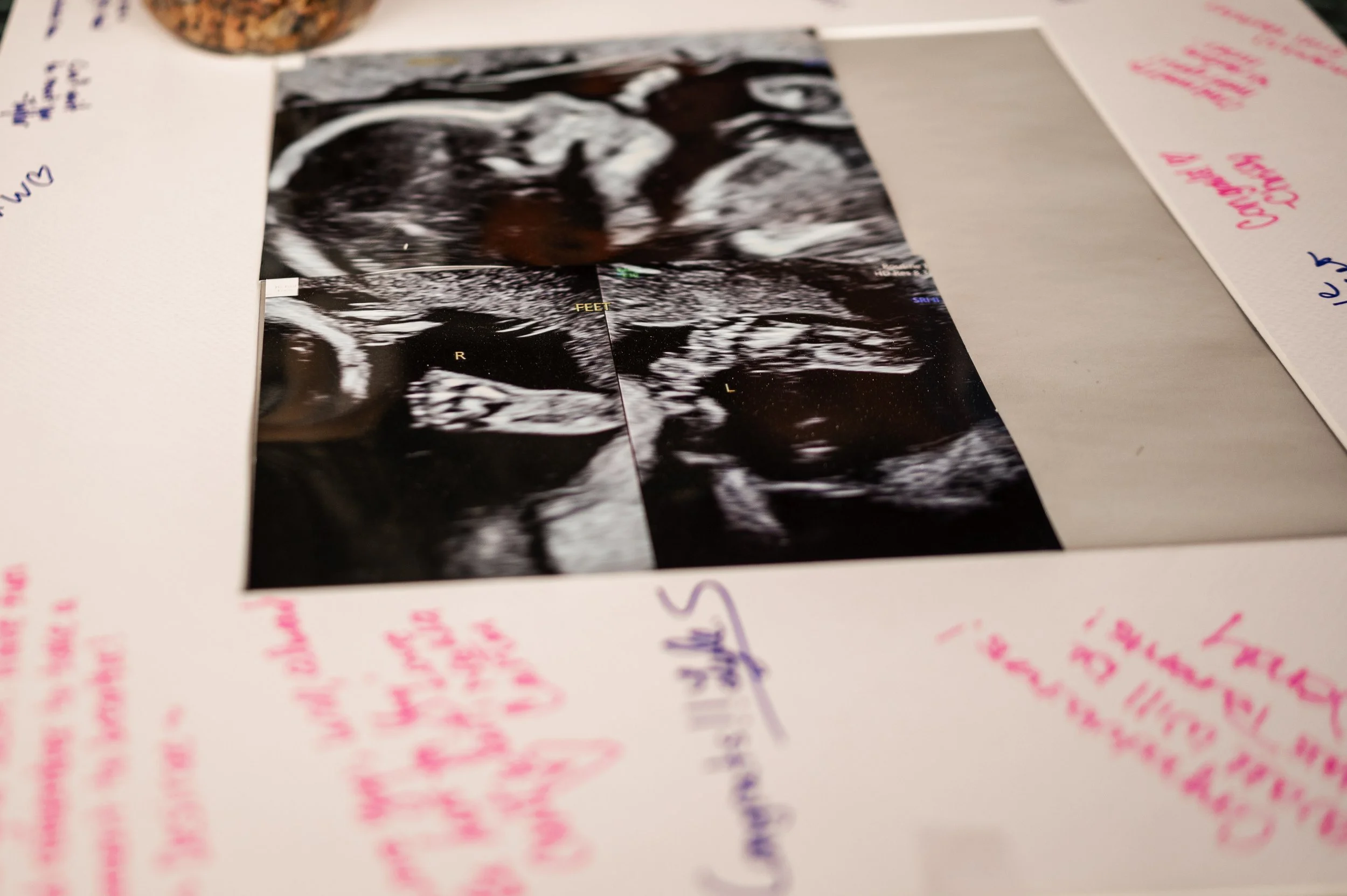 Gender Reveal 43.JPG