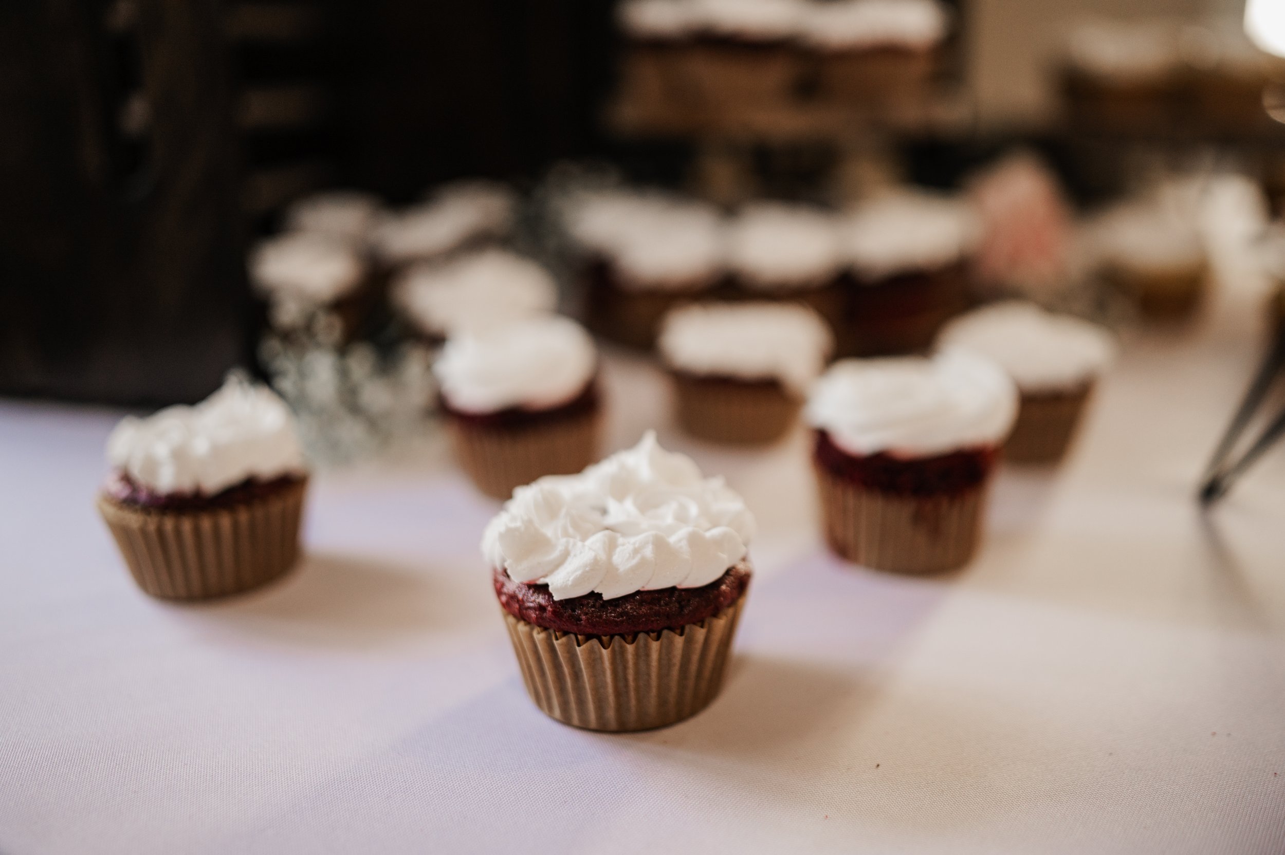 Higganbotham Wedding 3.JPG