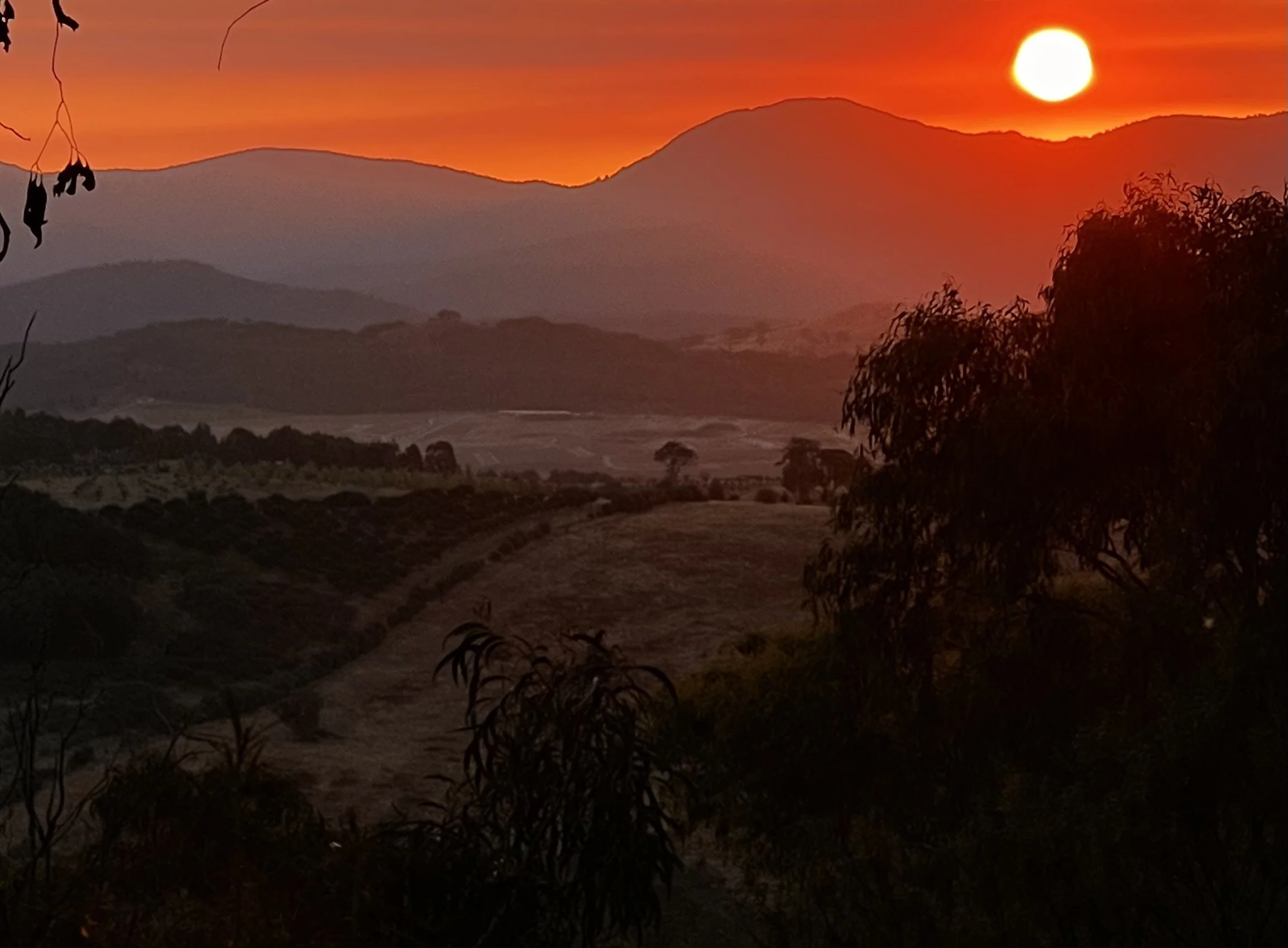 A contemplative image of the setting sun over the Brindabella Mountains taken from Black Mountain in Canberra Australia