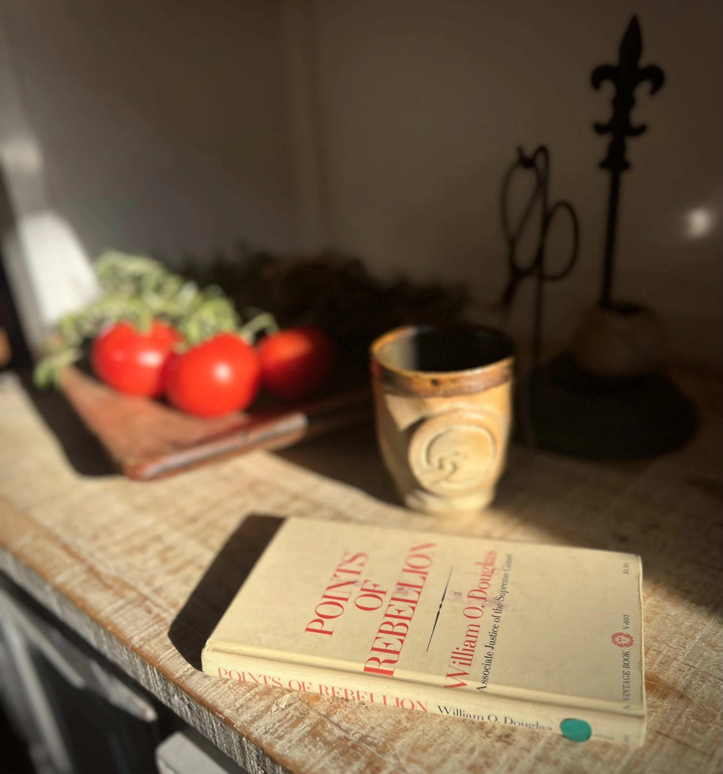 Photo of William O Douglas's Points of Rebellion, sitting on a wooden bench in the sun, with a tea cup in the background containing the Insightful Path Logo