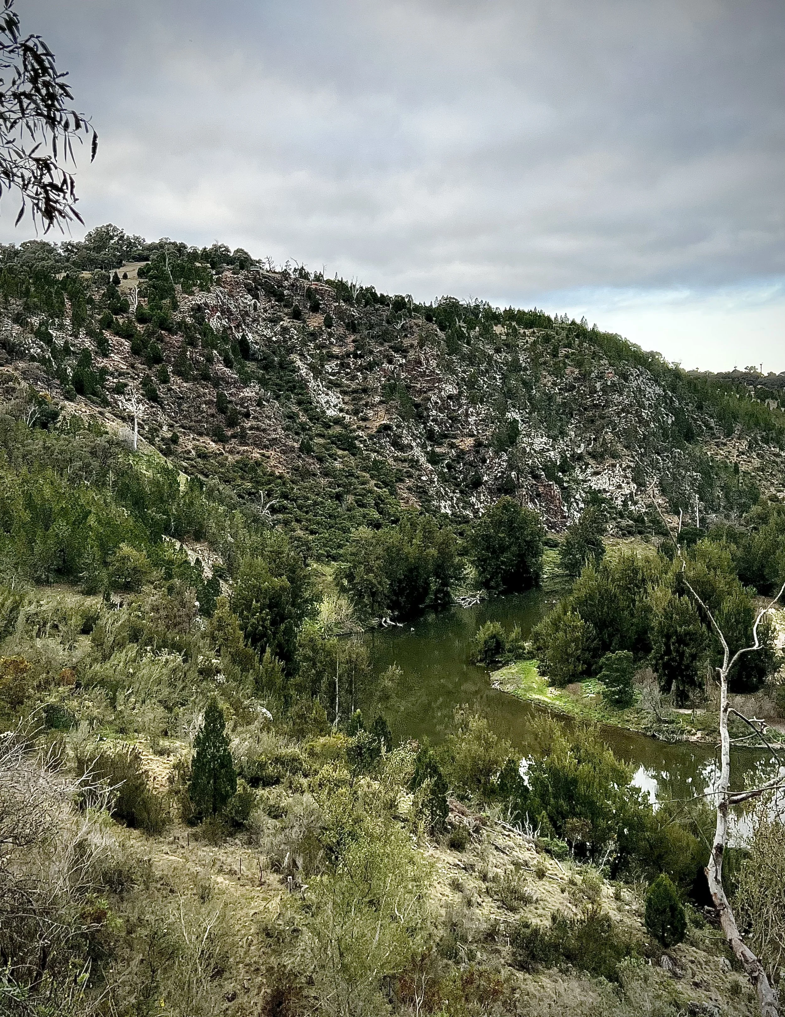A view of a bend in a river, beneath a rough and tall escarpment, high atop of which is a platform lookout, under a grey cloudy sky.