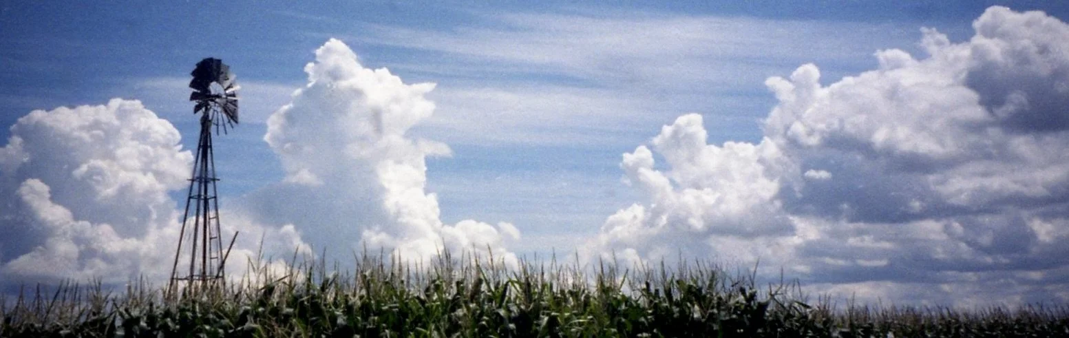 Windmill rising above cornfields beneath growing clouds.